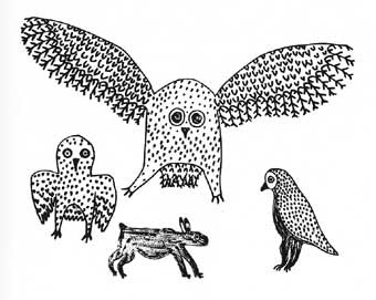 Owls and Rabbit