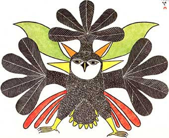 Owl Image