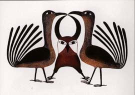 Tattigaak (Birds)