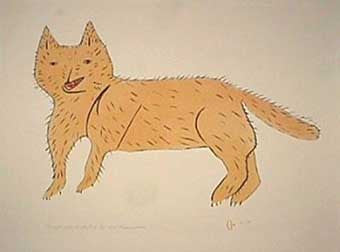 Teereeganyak, The Sly Fox